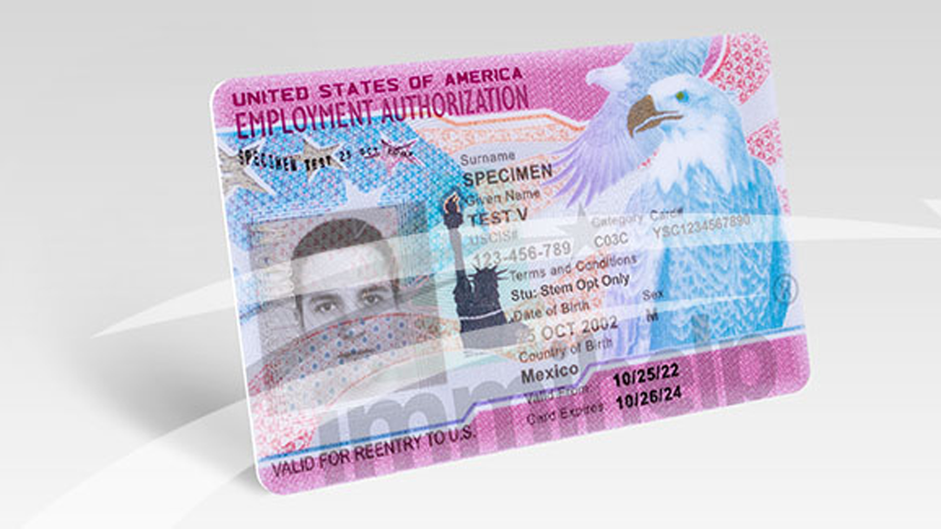 Employment authorization document themed image, USCIS shortens maximum EAD validity periods