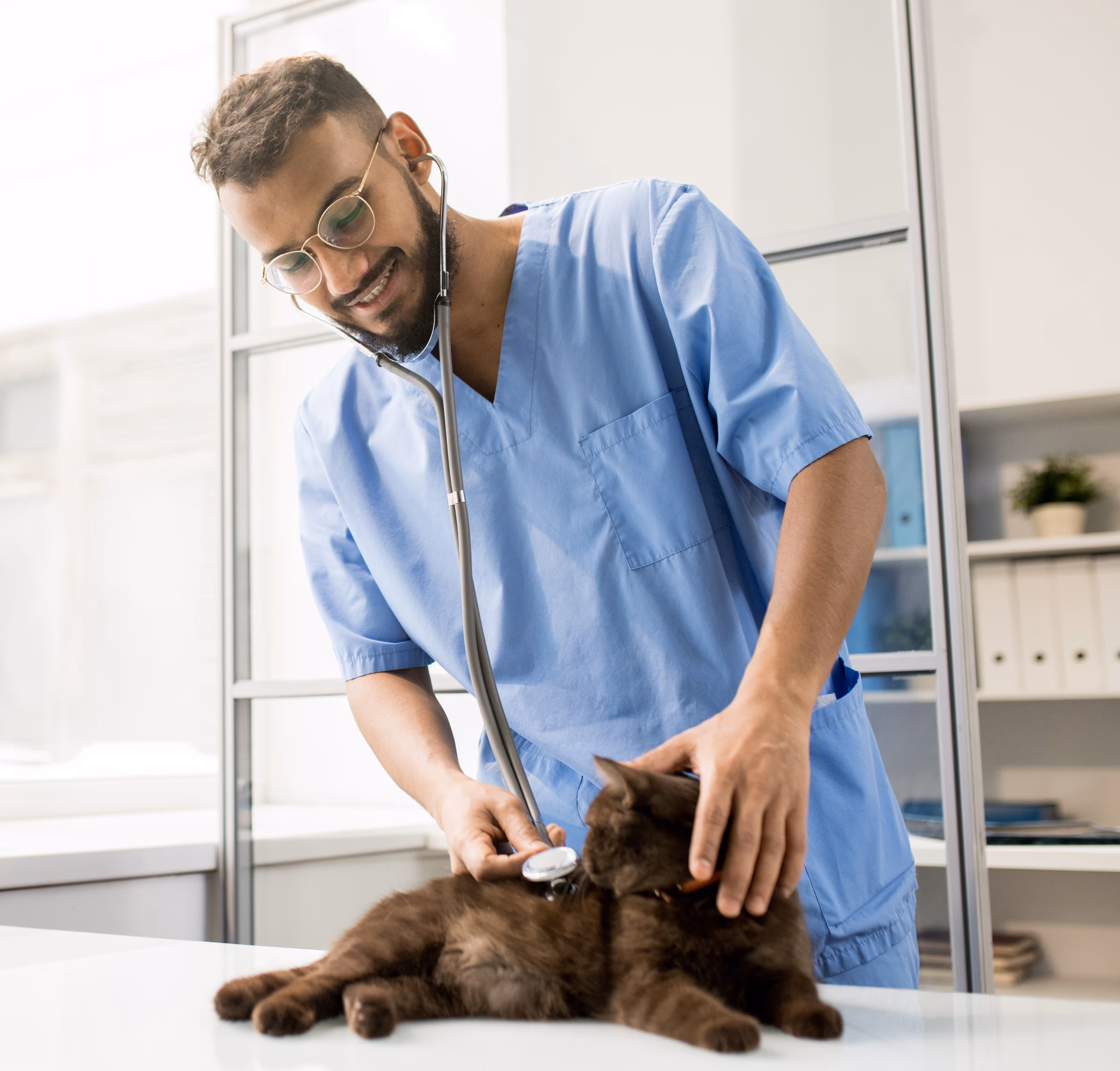 Un vétérinaire souriant en blouse bleue utilise un stéthoscope pour examiner un chat noir étendu sur une table.