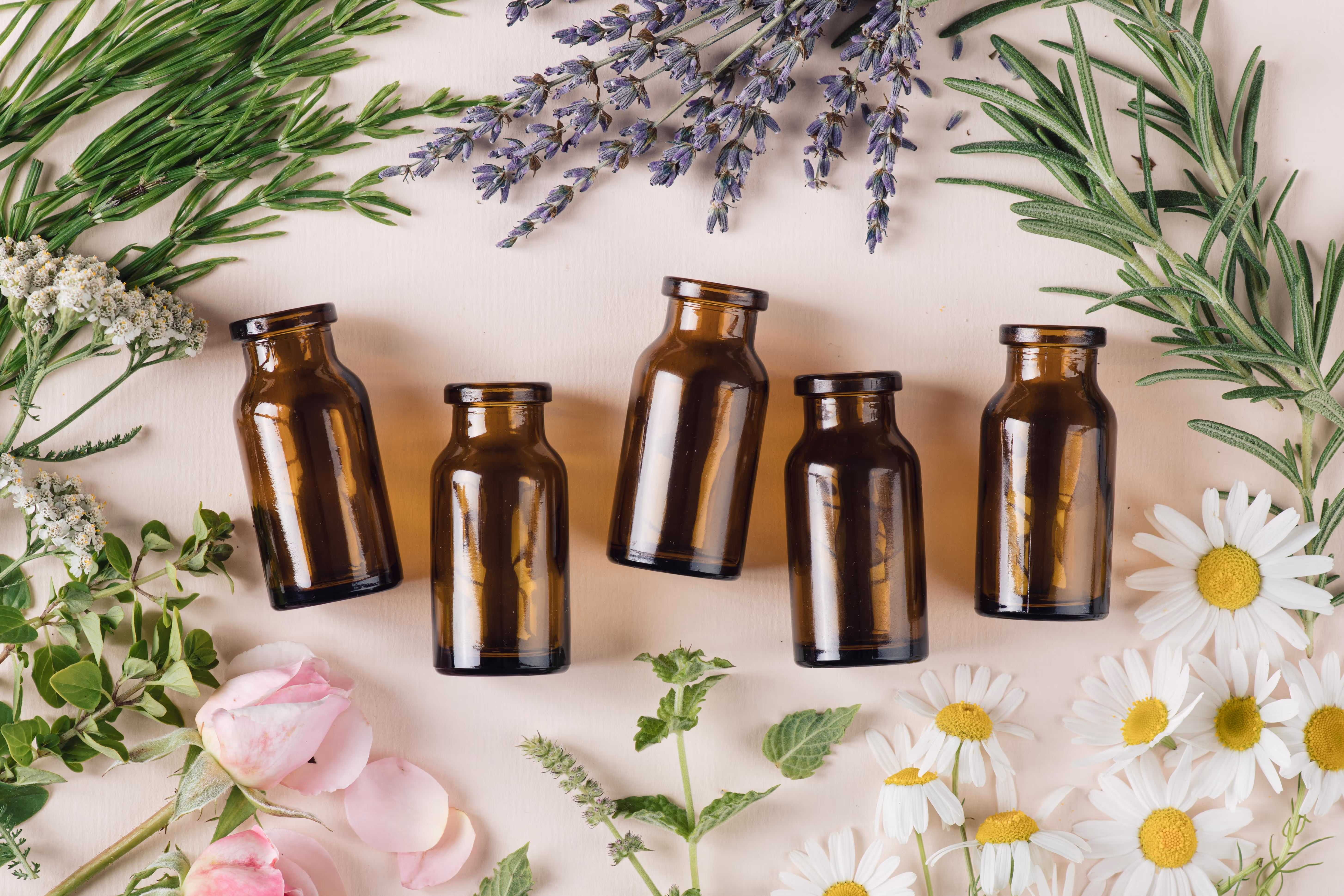 Cinq flacons en verre ambré entourés de diverses herbes fraîches et fleurs, dont des marguerites, de la lavande, du romarin et des pétales de rose.