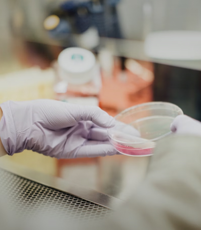 Centim Project Thumbnail