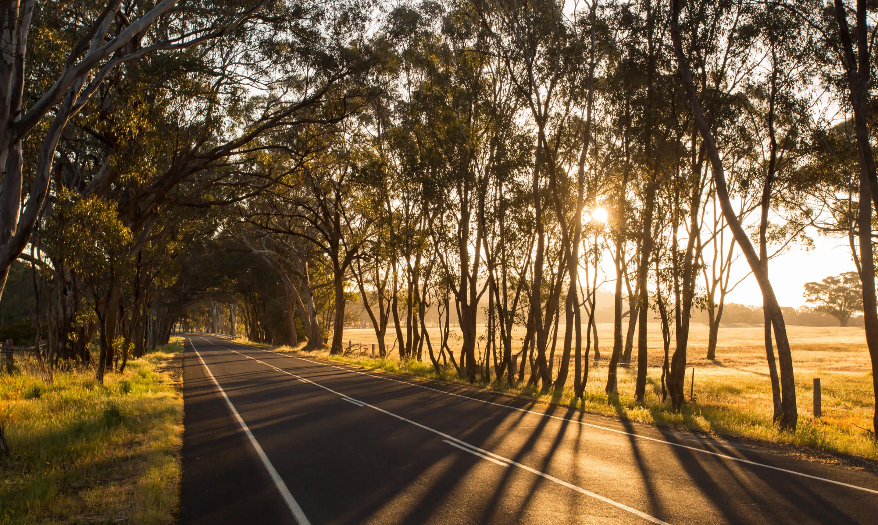 Australian country road at sunset