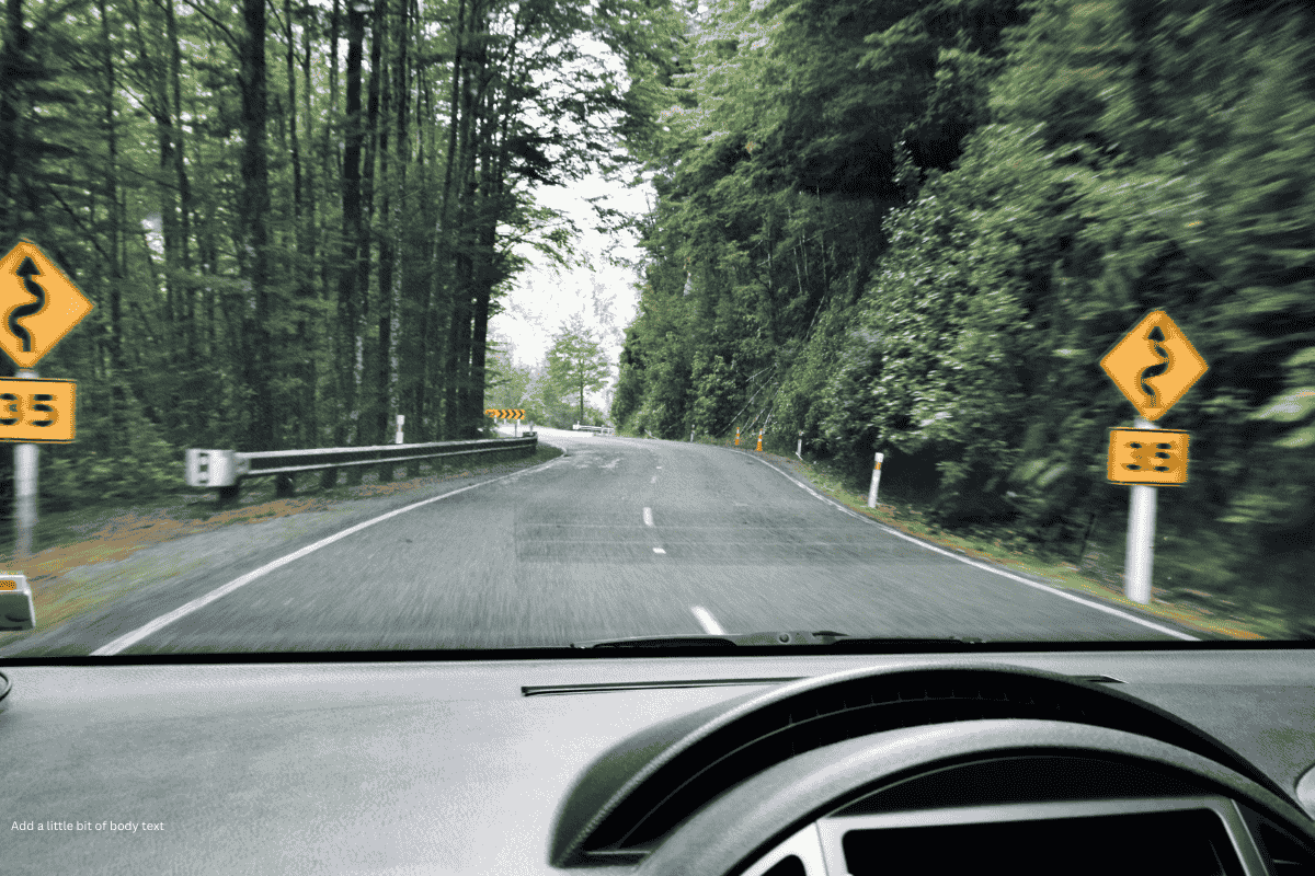 POV driving in New Zealand