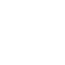 voice icon