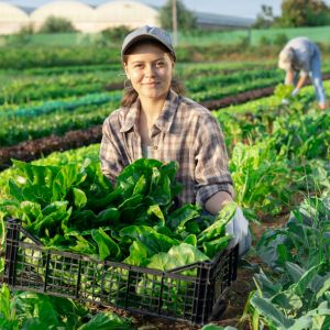  a farmer girl