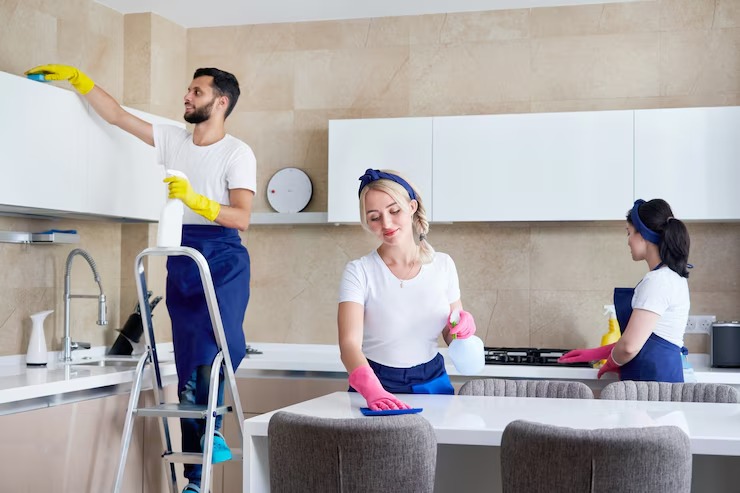 Kitchen Cleaning