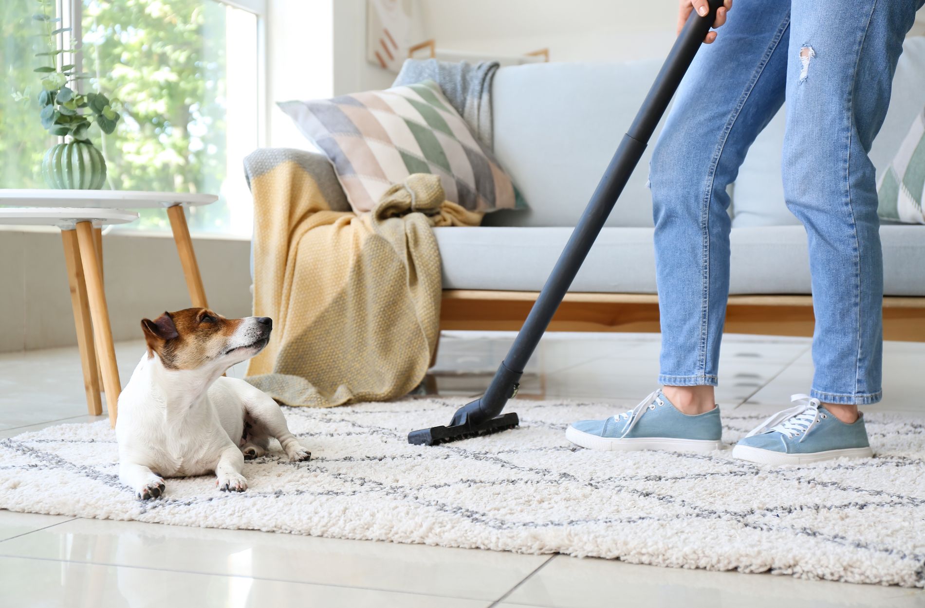 Pet Owner's Guide to Deep House Cleaning in Castle Pines