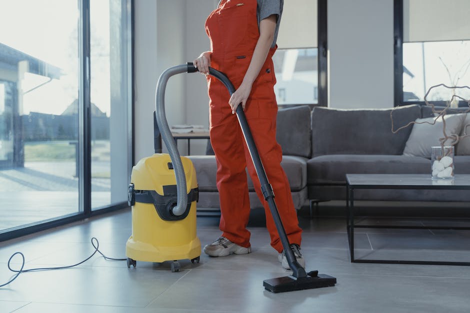 Find Your Perfect Match: Professional & Trusted House Cleaners in Monument, CO