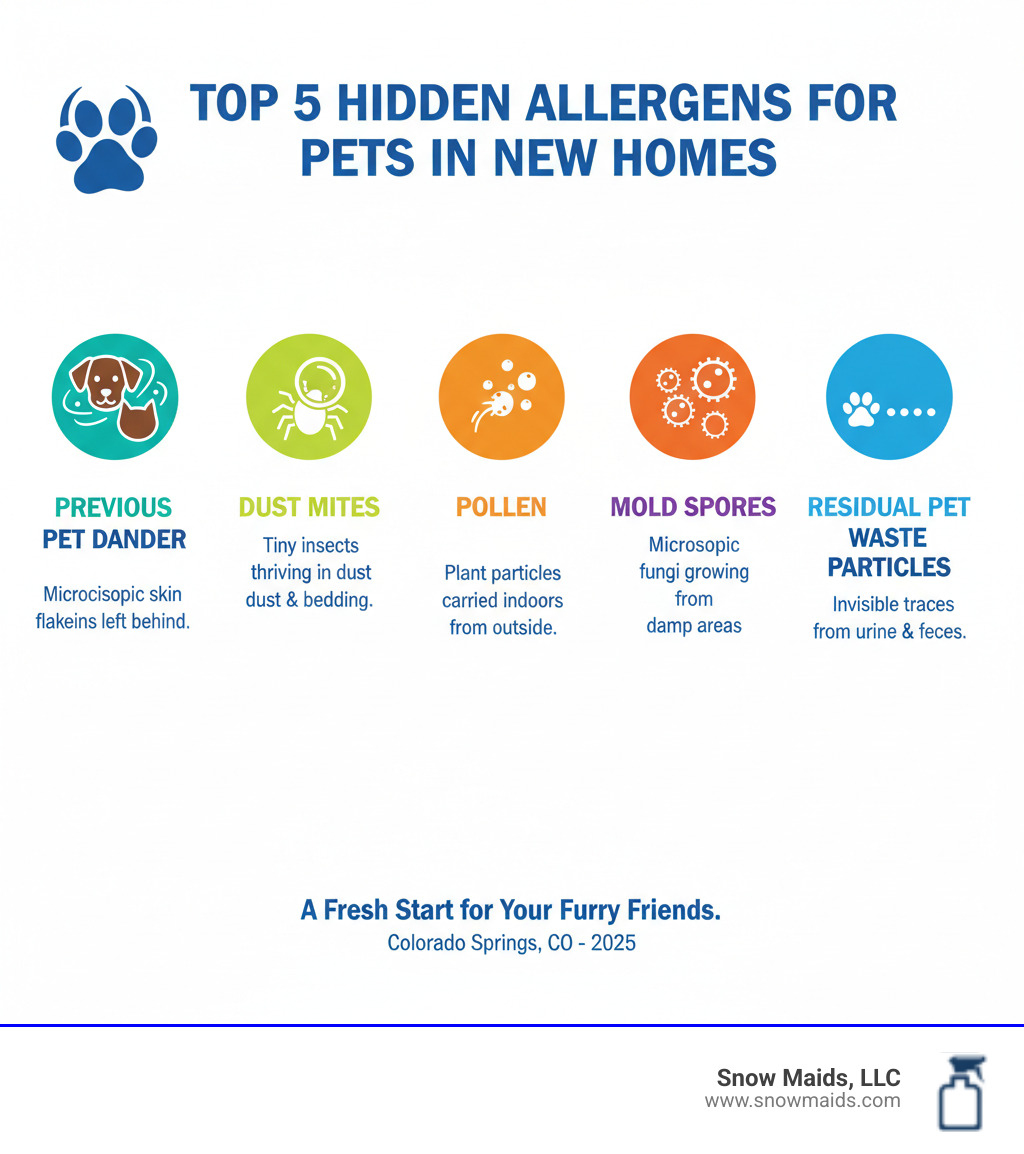 infographic showing top 5 hidden allergens for pets in new homes including previous pet dander, dust mites, pollen, mold spores, and residual pet waste particles with icons and brief explanations - pet-friendly move in cleaning in colorado springs, co infographic 