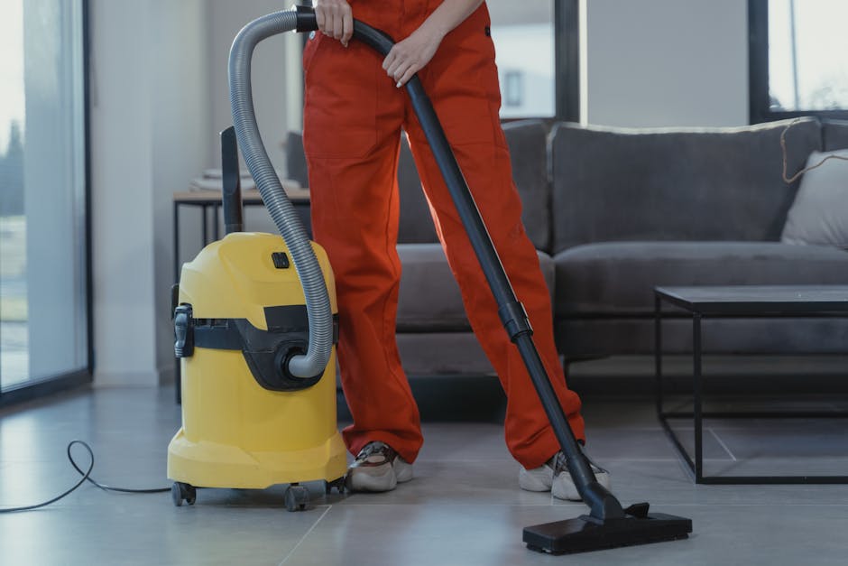 Lakewood's Best Kept Secret: Discovering Professional & Affordable House Cleaning Services
