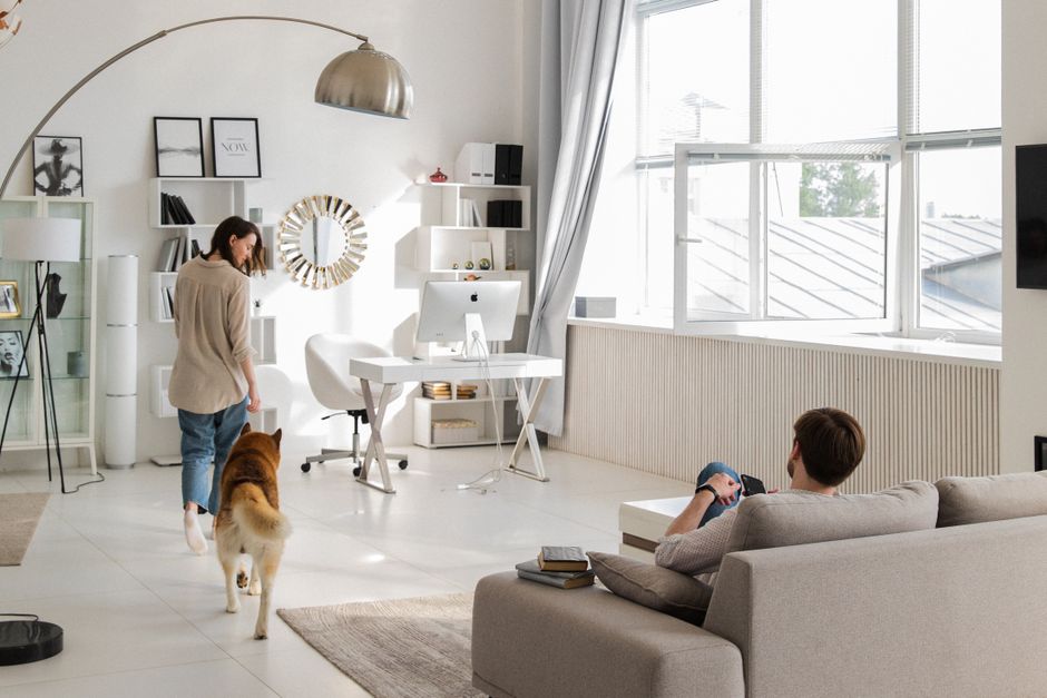 The Complete Guide to How Pets Increase Cleaning Frequency