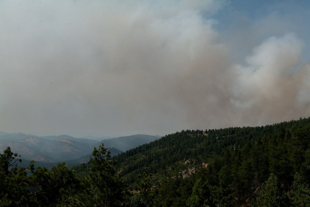 How to Remove Wildfire Smoke Residue in Your Home