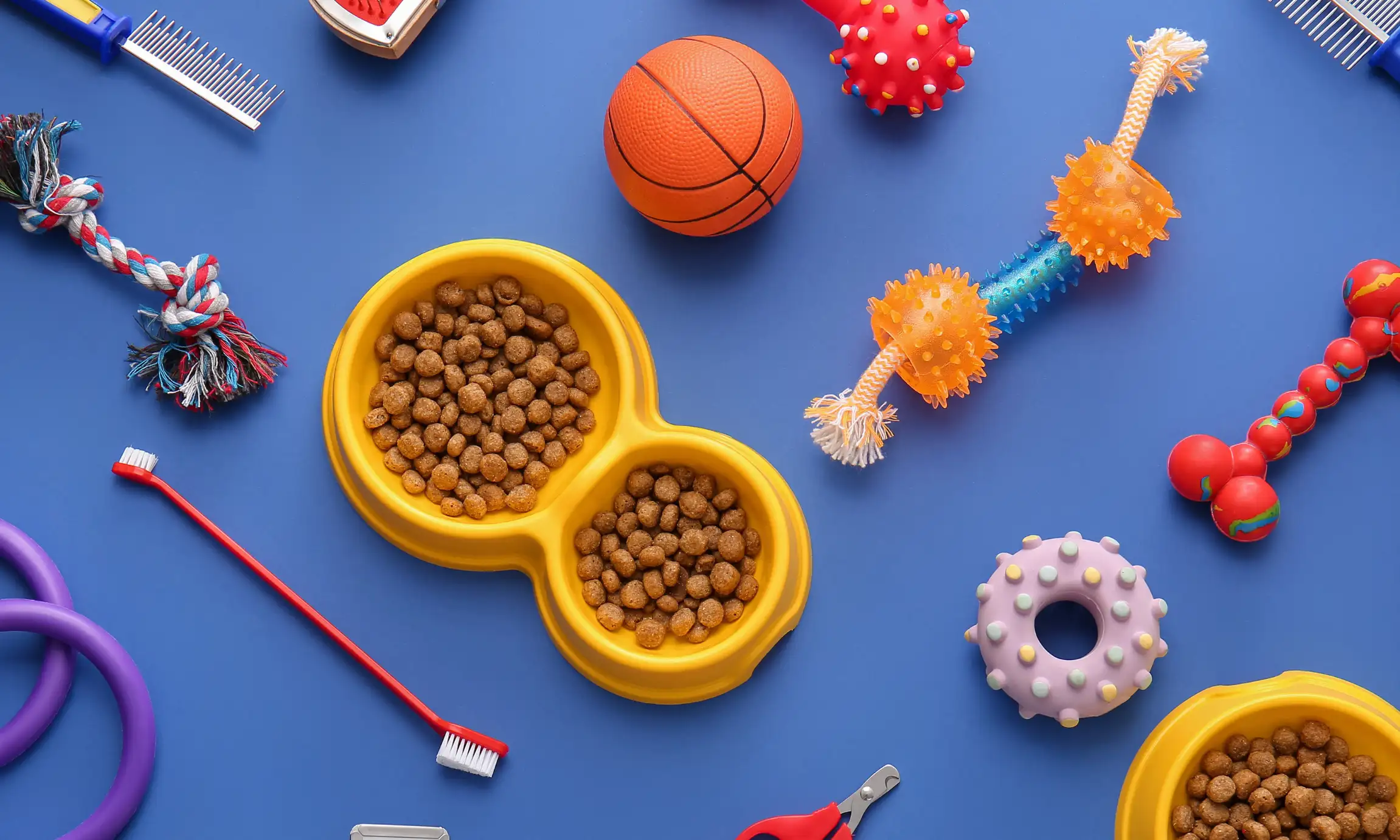 The Complete Guide to Organizing Dog Supplies