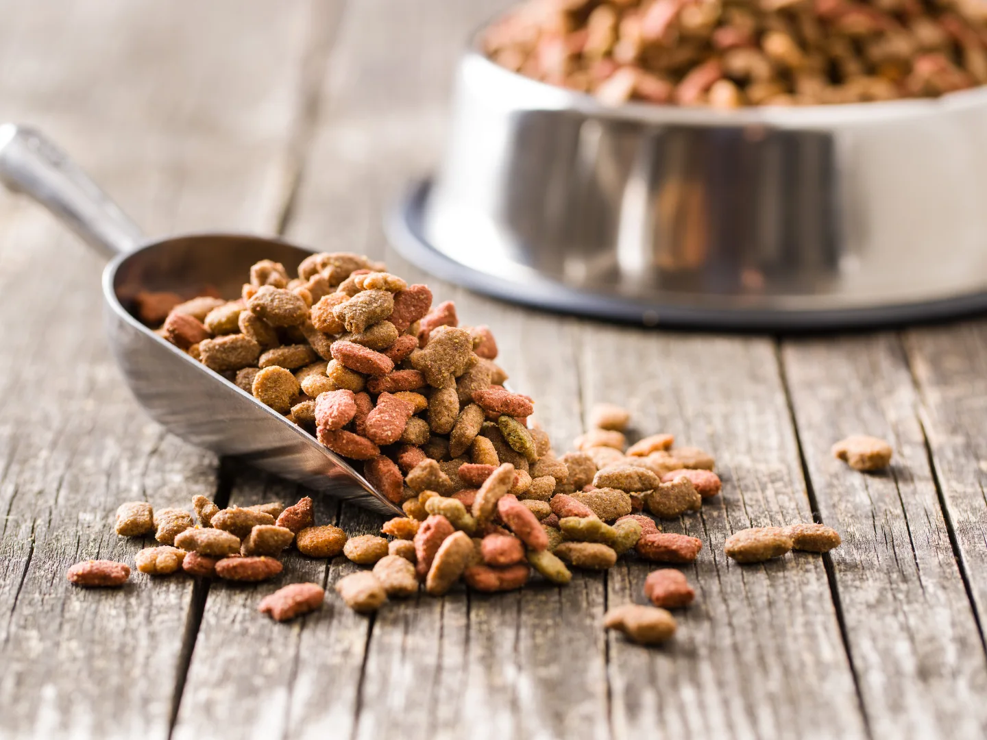 Metal scoop spilling dry dog kibble onto a wooden surface with a full stainless steel bowl in the background.