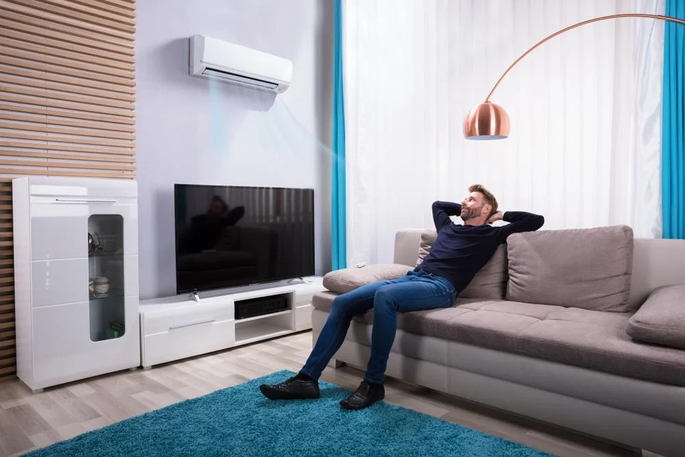 Ductless Heatpump needs Pre-summer Maintenance