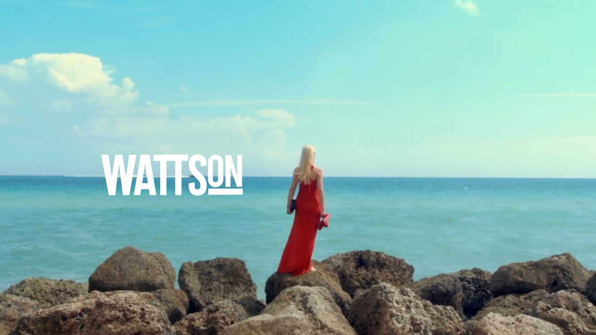 Aperçu vidéo SHOWREEL