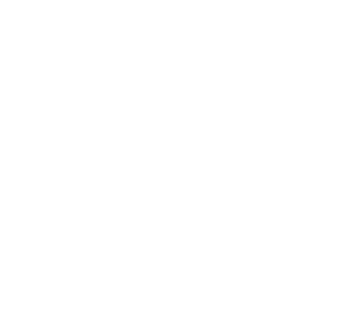 Dubai holding