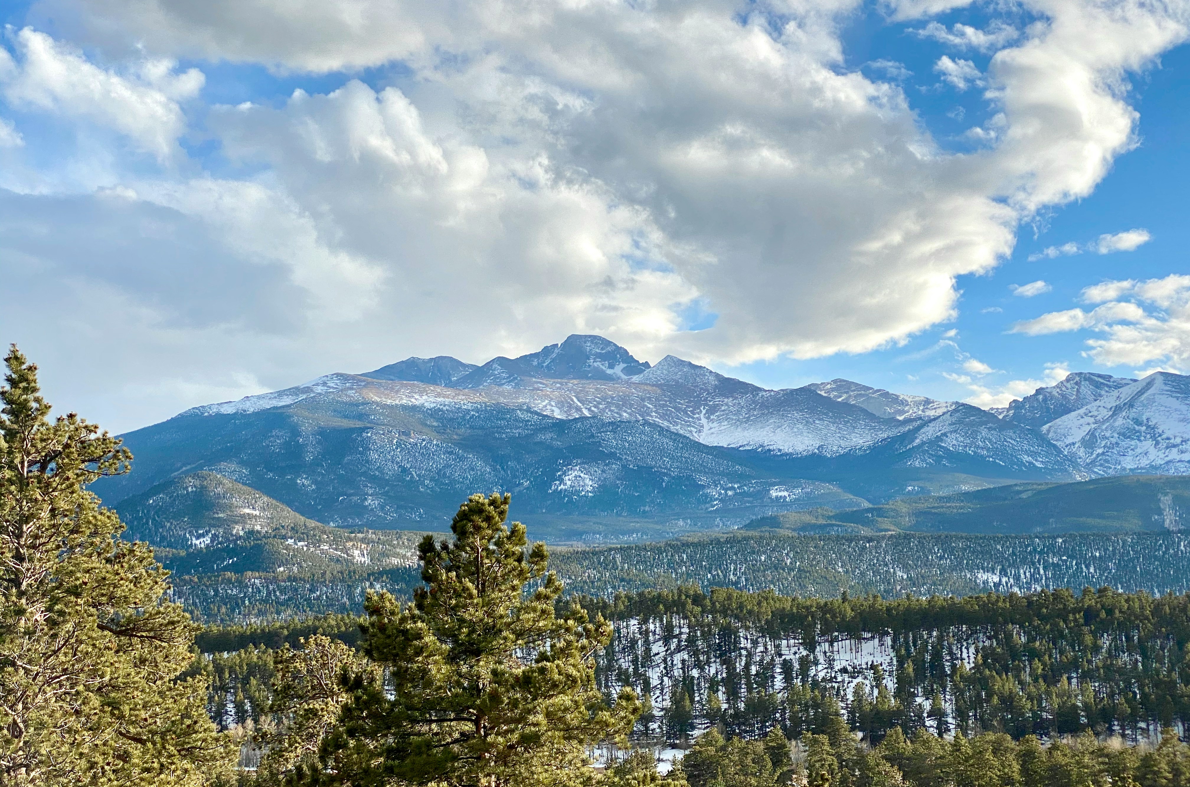 A Practical Guide to Net vs. Gross Performance