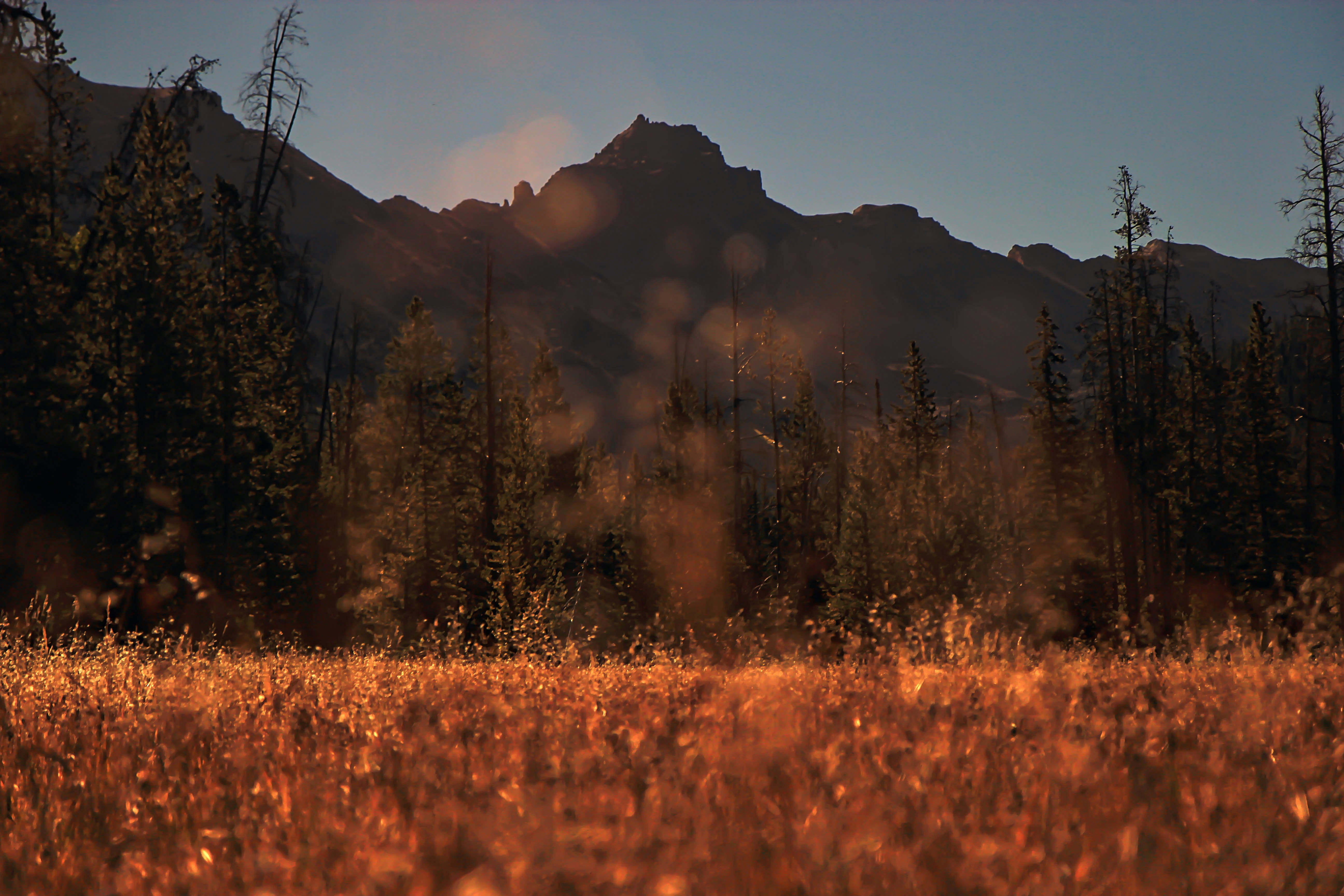 We're Not Software: What Longs Peak Actually Is
