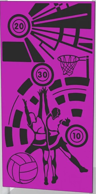 Sports Wall Netball Panel