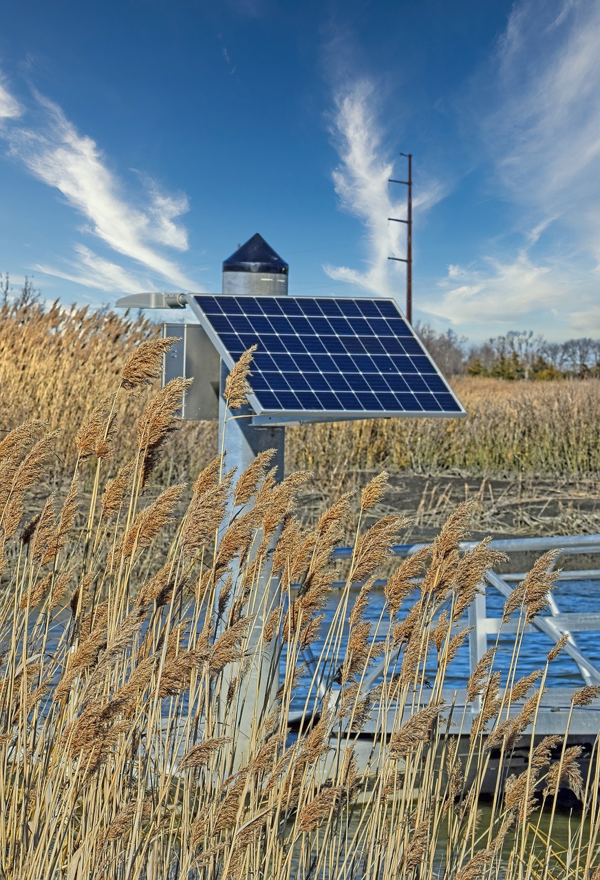 Kleine Photovoltaikanlage auf einem Metallgestell am Rand eines Gewässers, umgeben von hohem Schilfgras. Im Hintergrund blauer Himmel mit Schleierwolken. Symbolbild für erneuerbare Energie in naturnaher Umgebung.