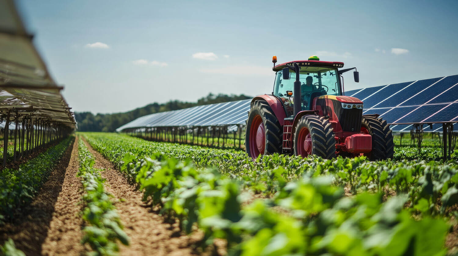 Auch landwirtschaftliche Flächen eignen sich für Freiflächen-PV (Agri-PV).