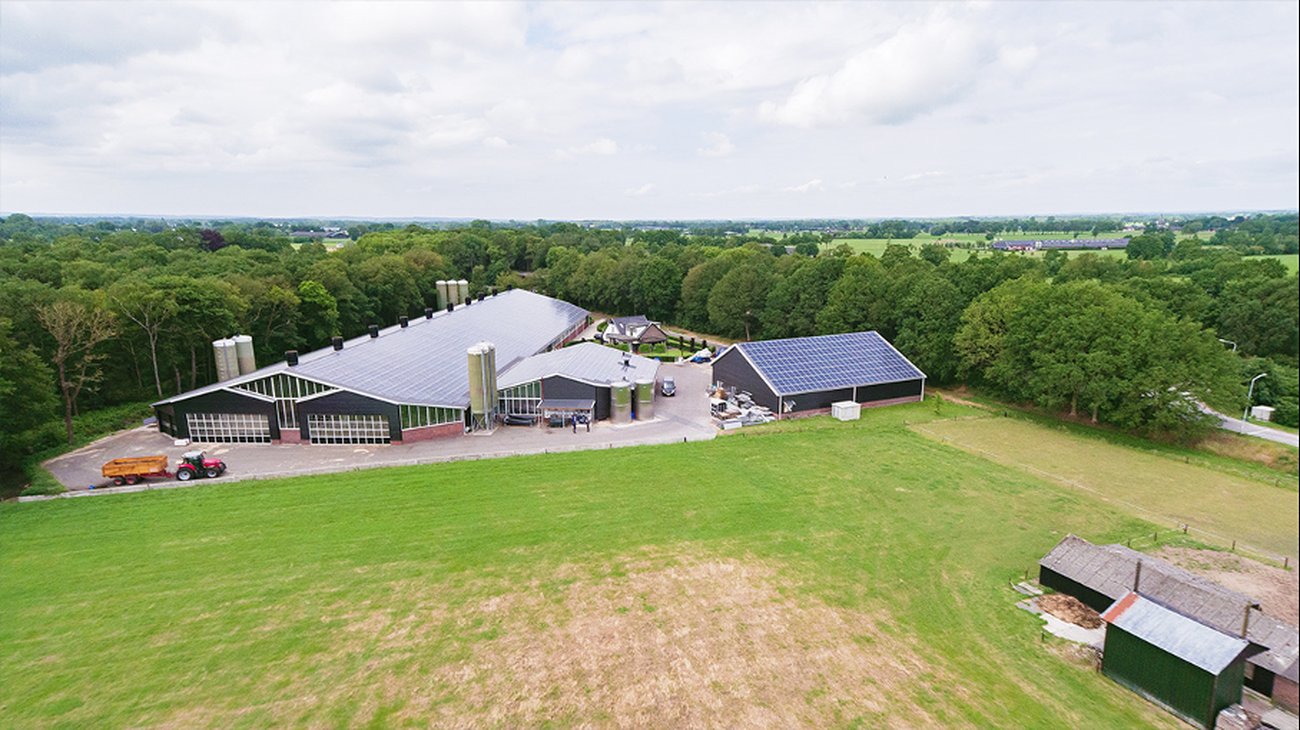 Bauernhof von Teus de Jong mit Solaranlagen auf den Dächern inmitten grüner Landschaft