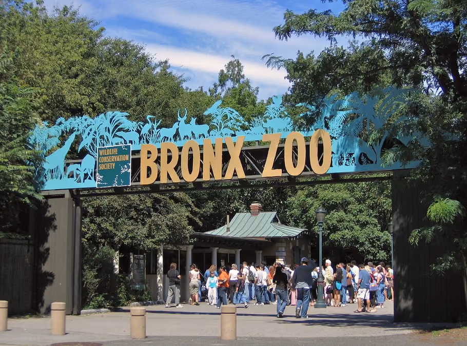 Bronx Zoo entrance with crowd









