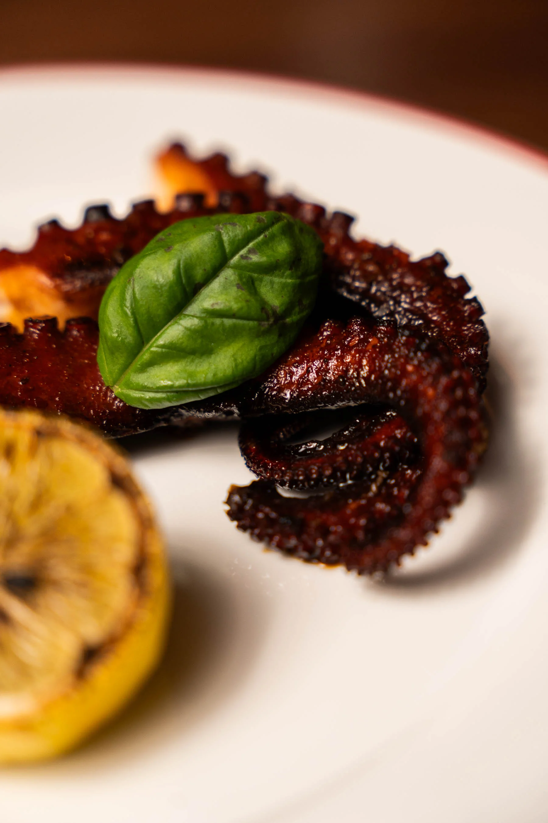 Nahaufnahme eines gegrillten Oktopus-Arms, garniert mit einem Basilikumblatt und einer Zitronenscheibe, auf einem weißen Teller mit rotem Rand.