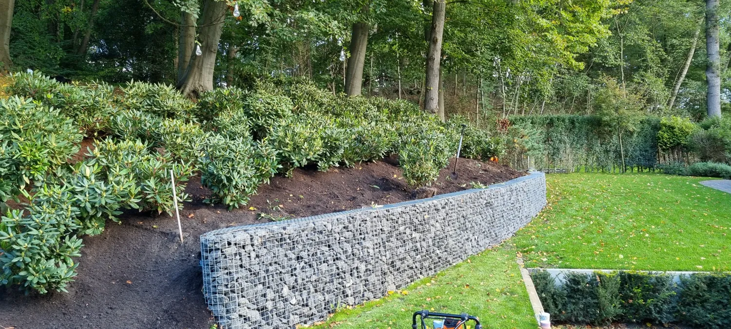 Rhododendrons aangeplant op een talud boven een schanskorfmuur langs een gazon
