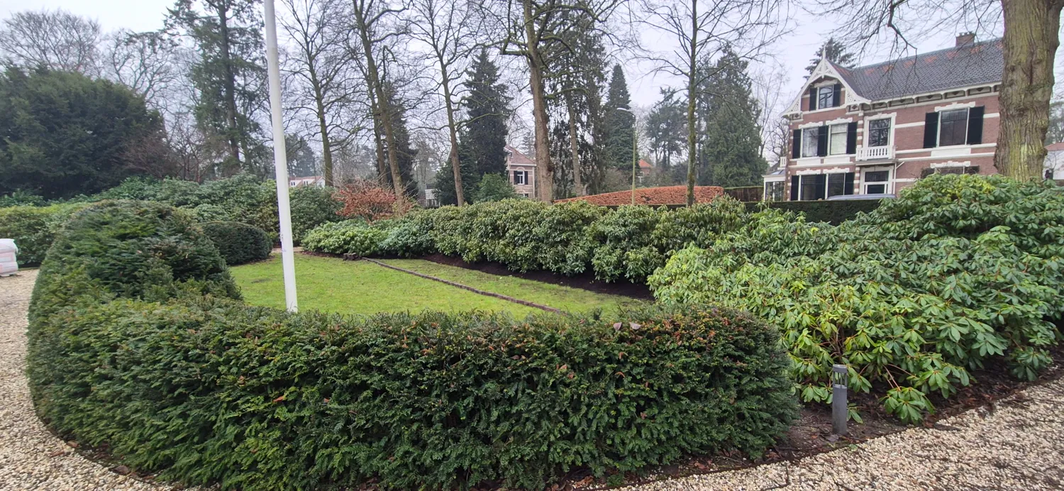 Rhododendronborder rond een gazon voor een villa, omringd door een taxushaag