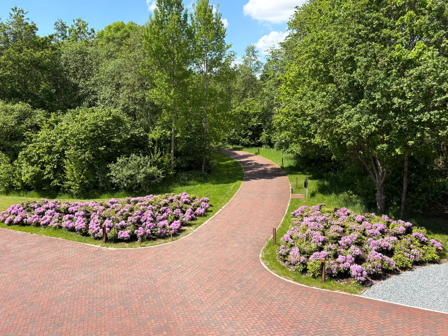 Twee bloeiende rhododendronvakken bij een splitsing van een klinkerpad in het groen