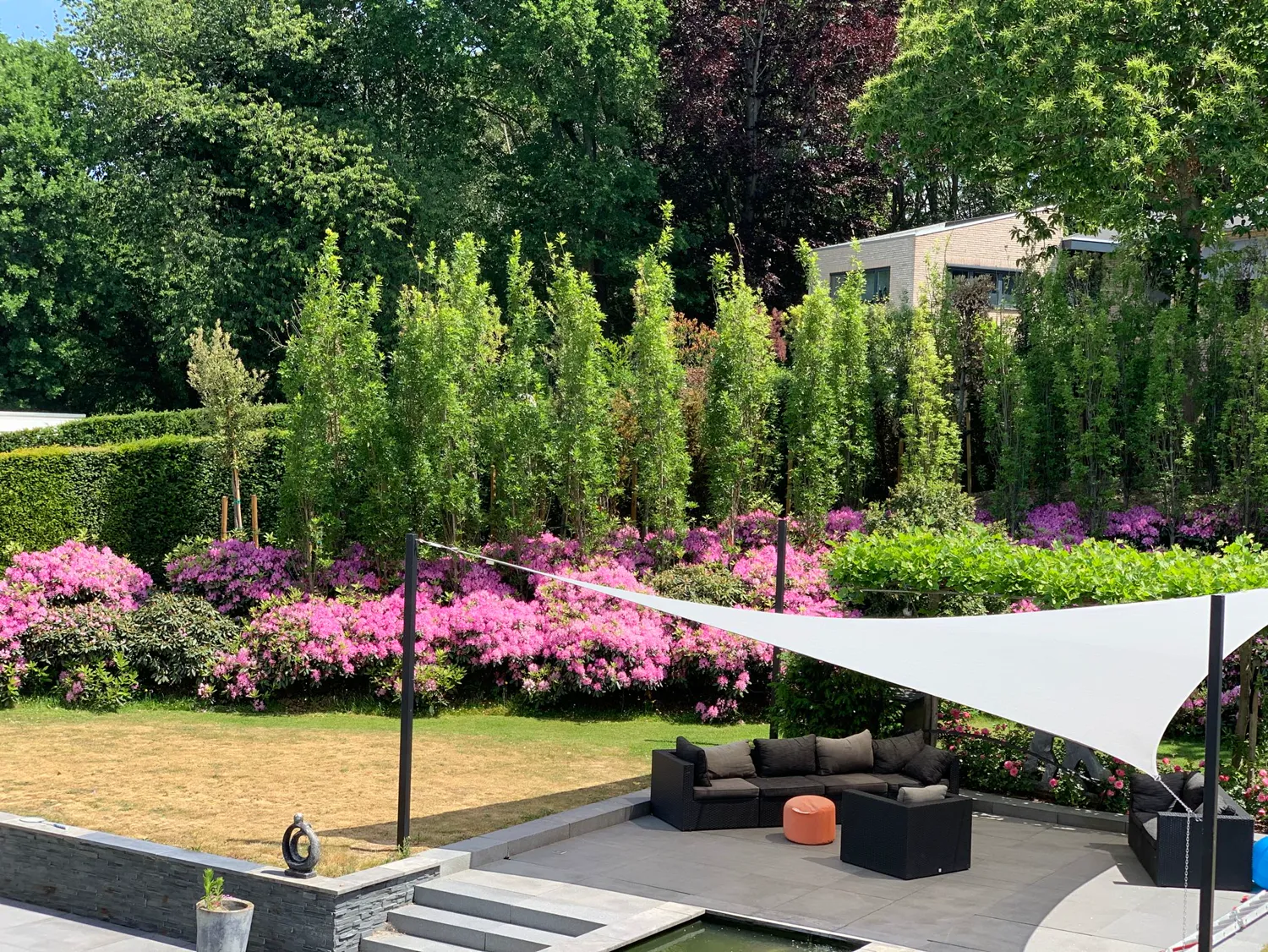 Tuin met bloeiende roze rhododendrons en azalea's achter een loungeterras
