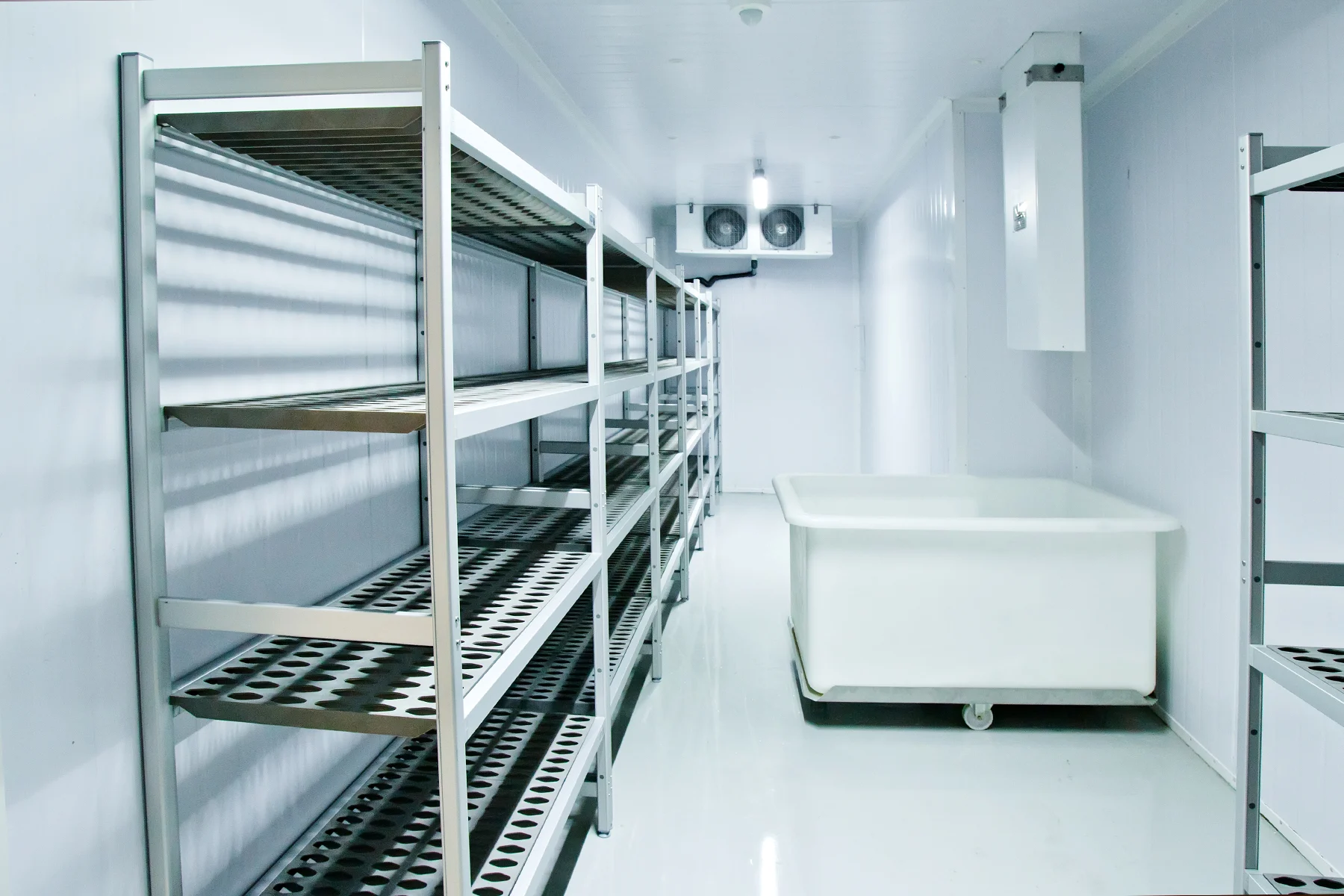 The image shows the interior of a commercial or industrial walk-in freezer or cooler.