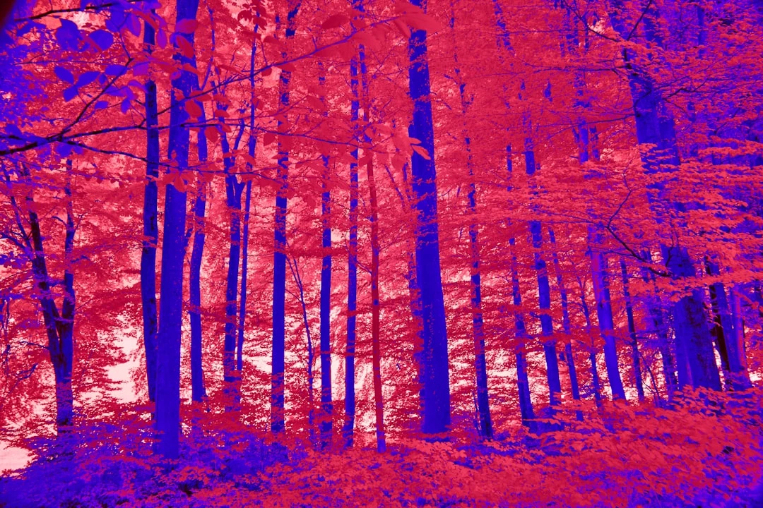 Thermal imaging showing significant heat gain and loss in a residential home - how mini splits solve hot and cold spots Thermal imaging showing significant heat gain and loss in a residential home - how mini splits solve hot and cold spots