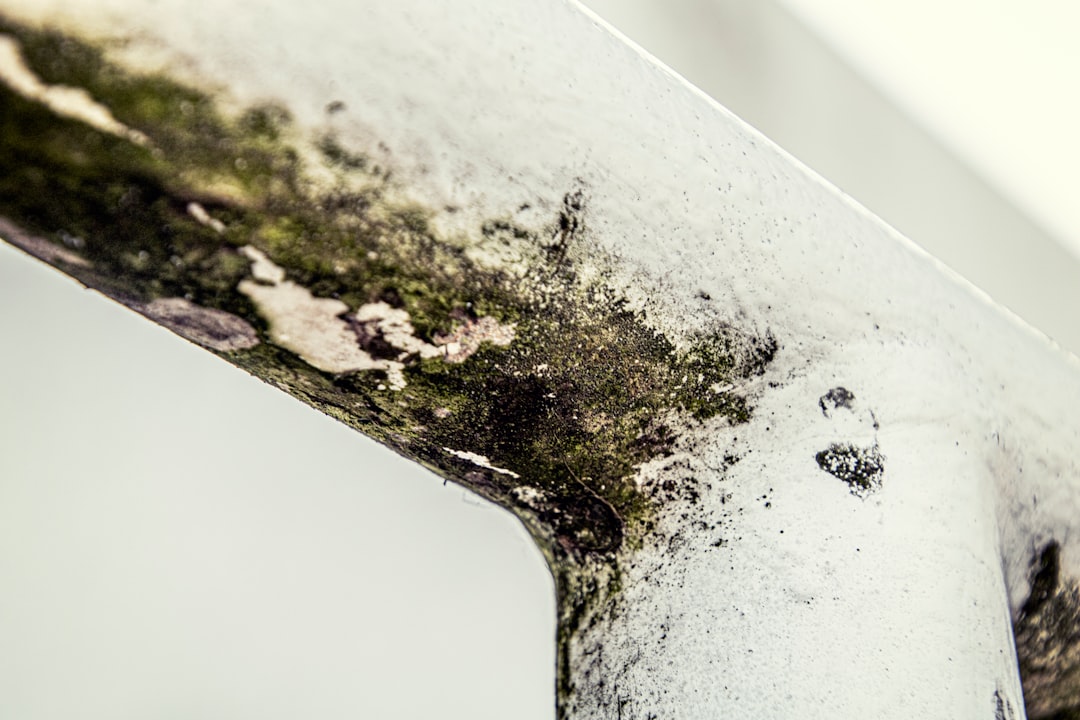The Ultimate Guide to Keeping Your Vents Mold-Free