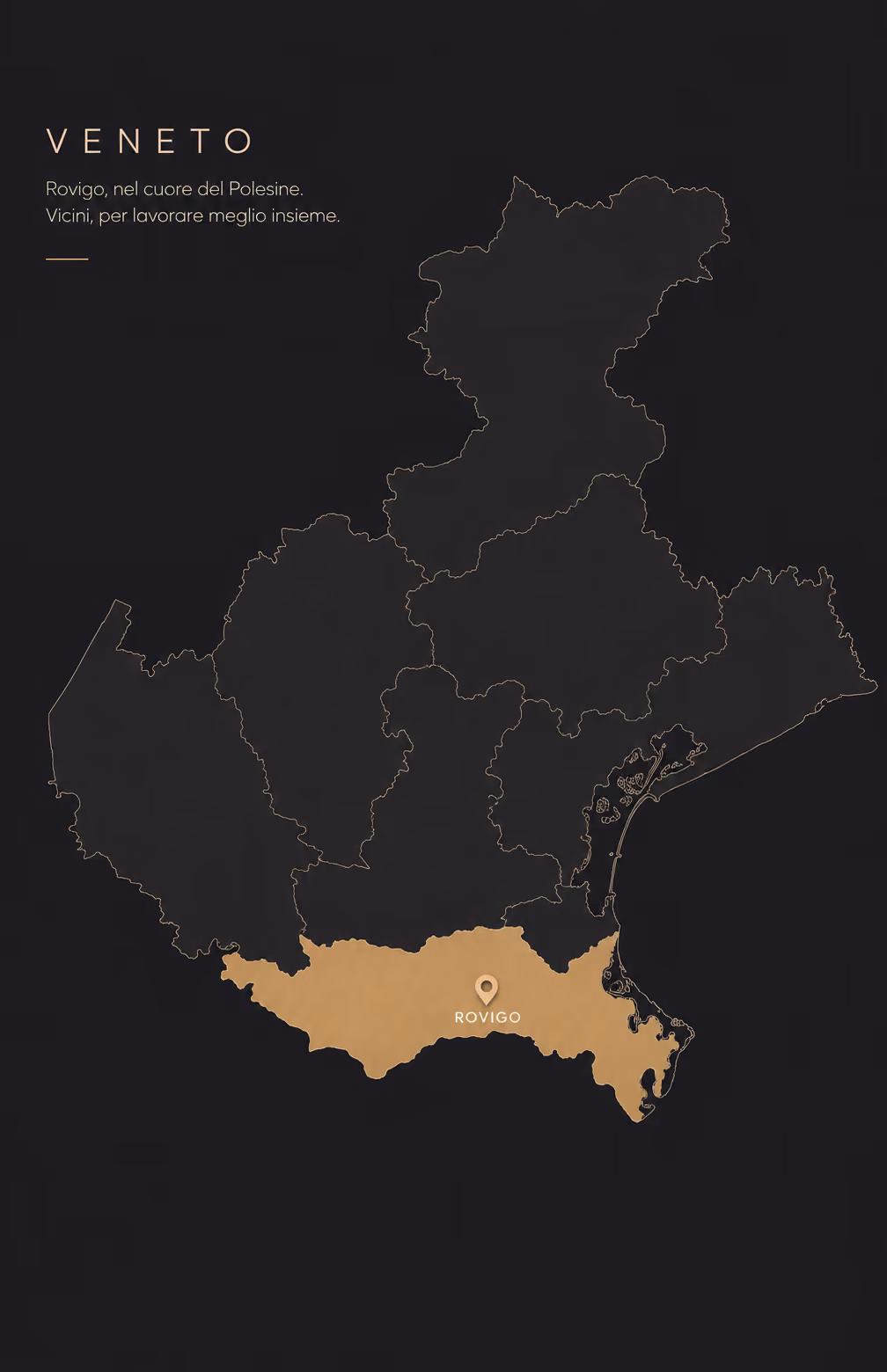 Mappa minimalista della regione Veneto su sfondo scuro con la provincia di Rovigo evidenziata in color oro.