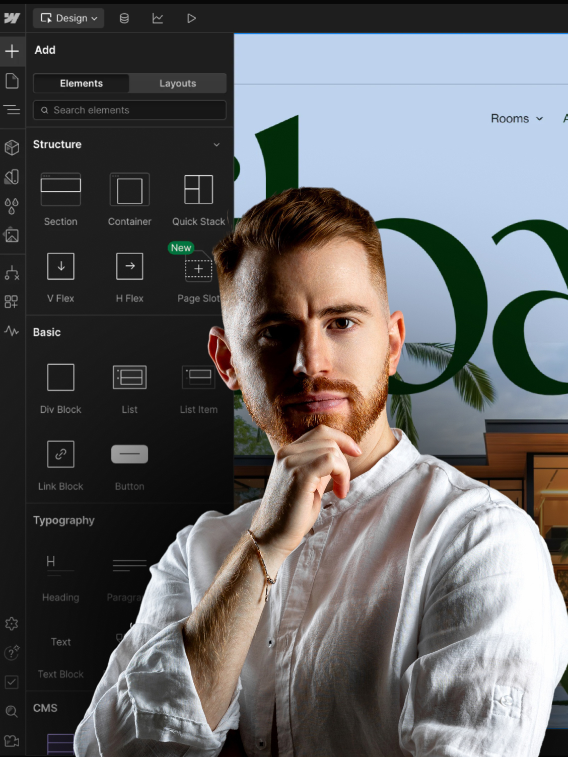 Curs Web Design de la Zero pentru Freelanceri & Antreprenori