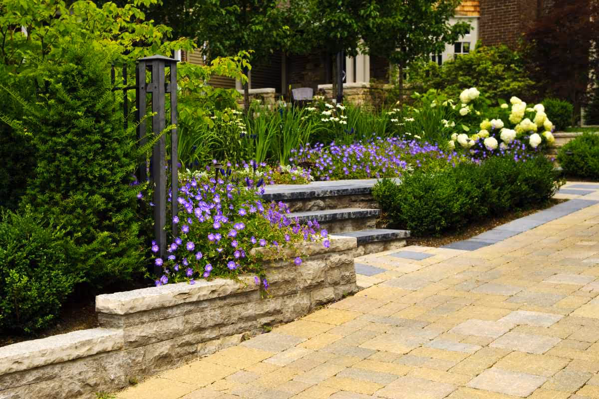 Driveway and walkway