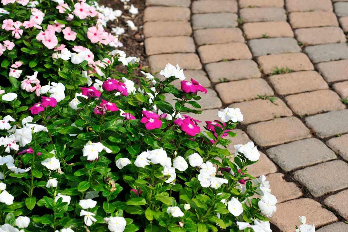 Permeable pavers