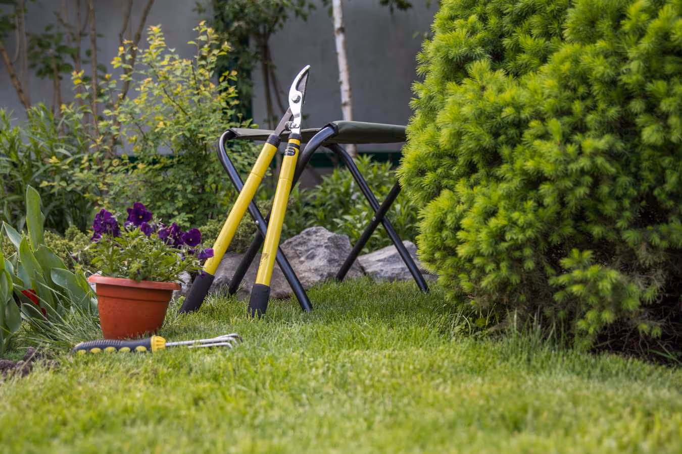 Low Maintenance Backyards