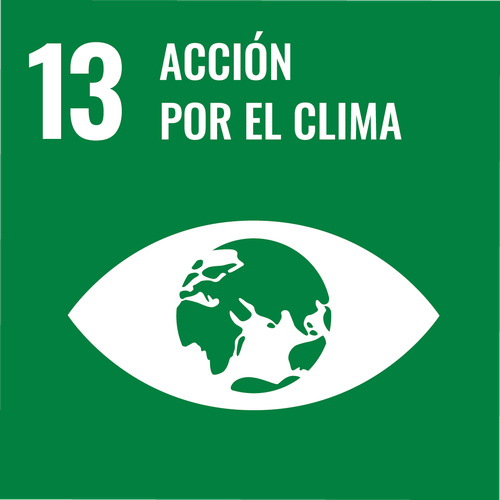 Acción por el clima - ODS