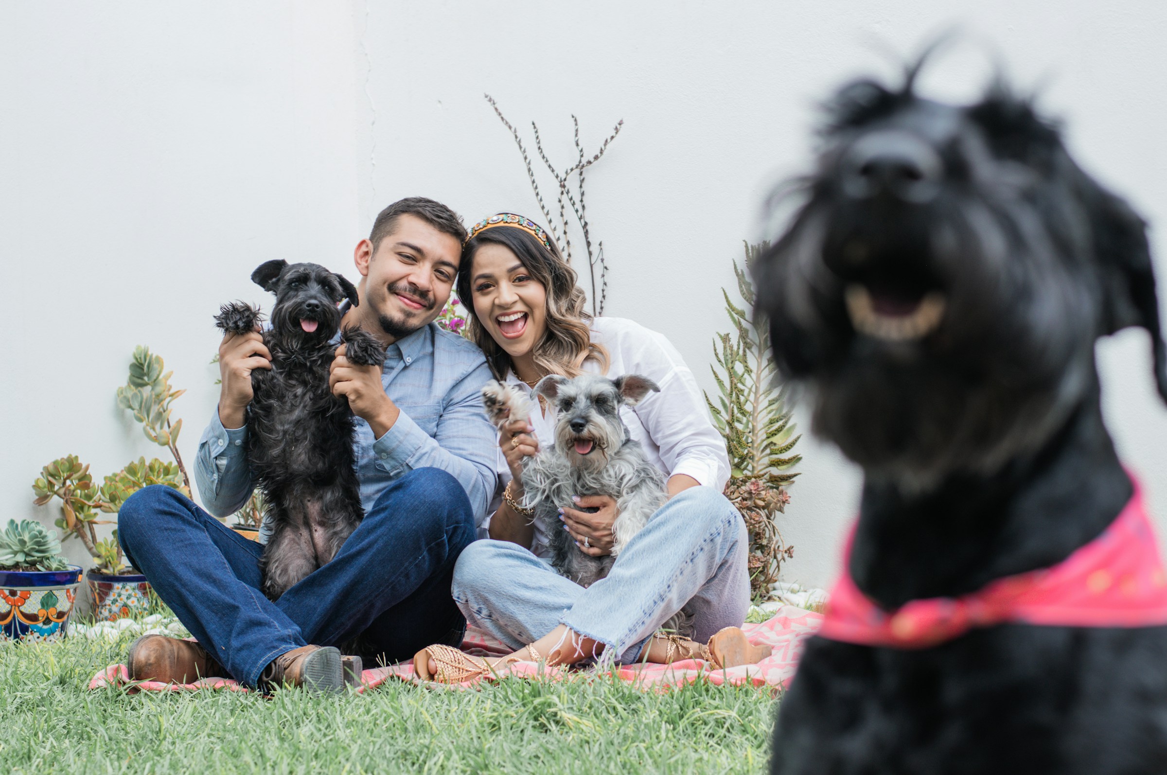 Pareja sonriente con tres perros en el césped.