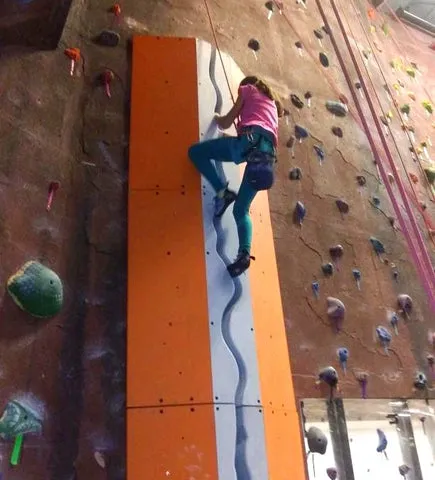 Climbing Crax