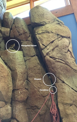 The rock climbing wall built by Eldorado Climbing Walls educates visitors about rock climbing techniques as well as the protection of raptor habitats.