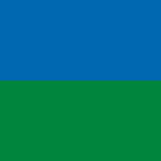 MacArthur Foundation