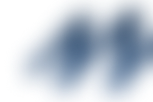 Company Logo Item Shadow