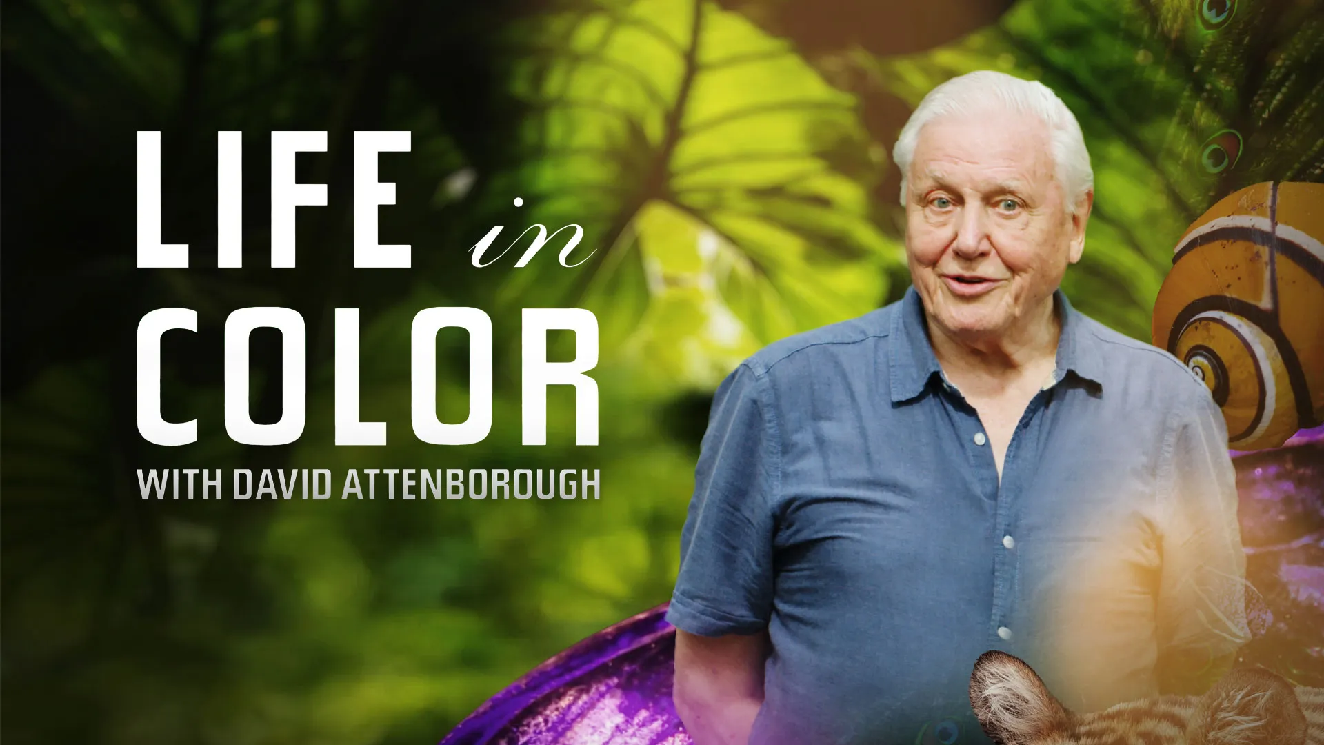Life in Color with David Attenborough