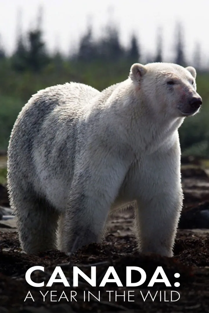Canada: A Year In A Wild
