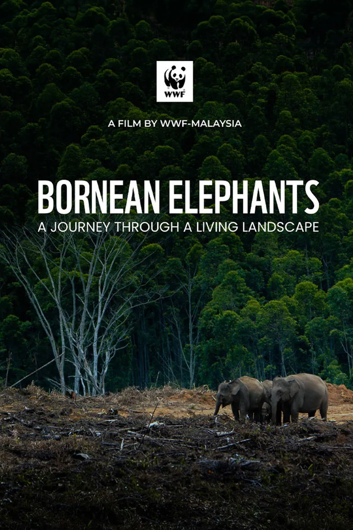 Bornean Elephants - A Journey Through A Living Landscape 