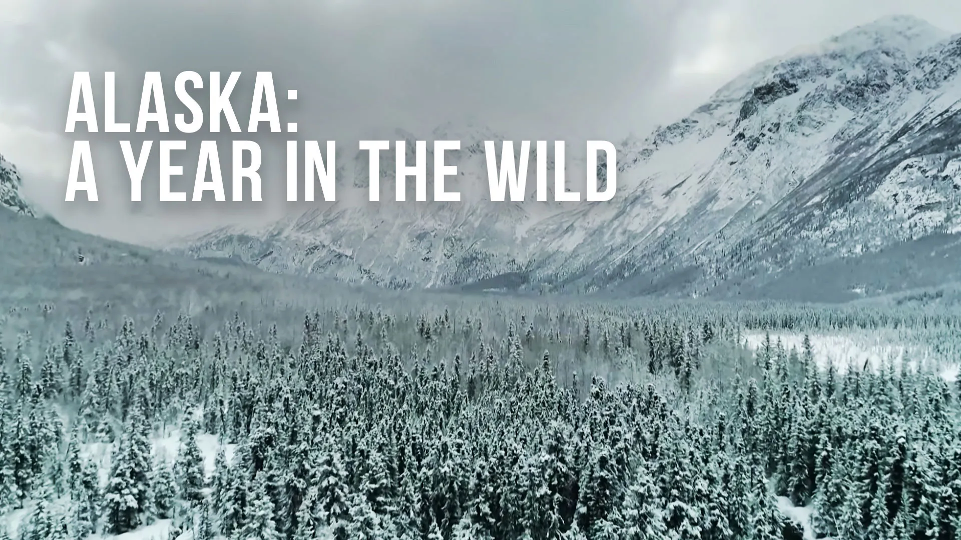 Alaska: A Year In The Wild